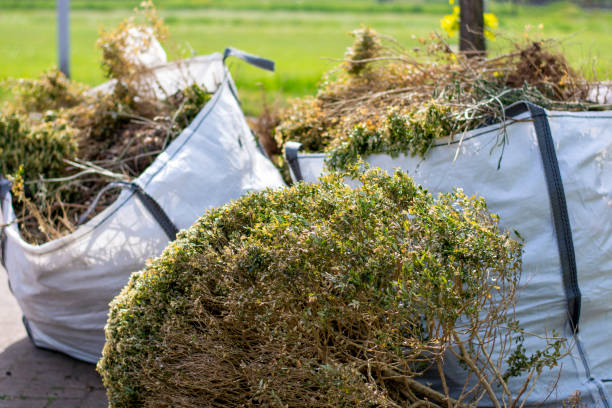 Best Construction Debris Removal  in Pontoon Beach, IL